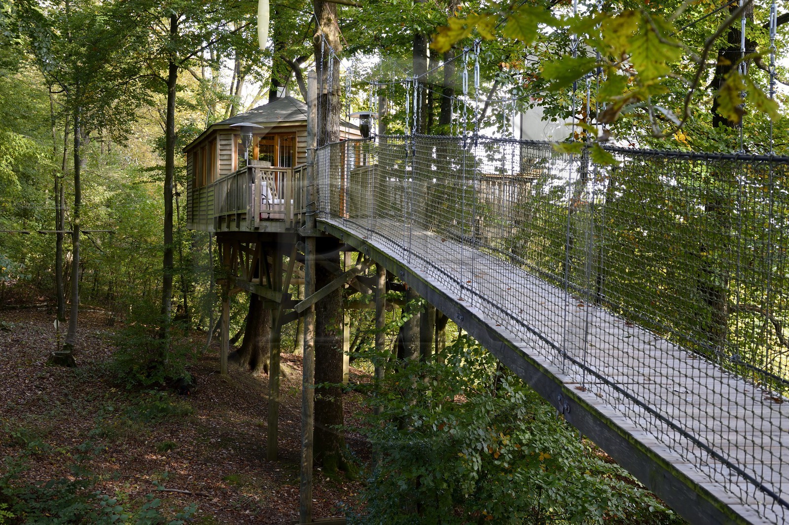 France, Marne (51), Parc Naturel Regional de la Montagne de Reims, Verzenay, le Perching Bar, une passerelle en bois donne accès à ce surprenant bar à champagne perché dans les arbres