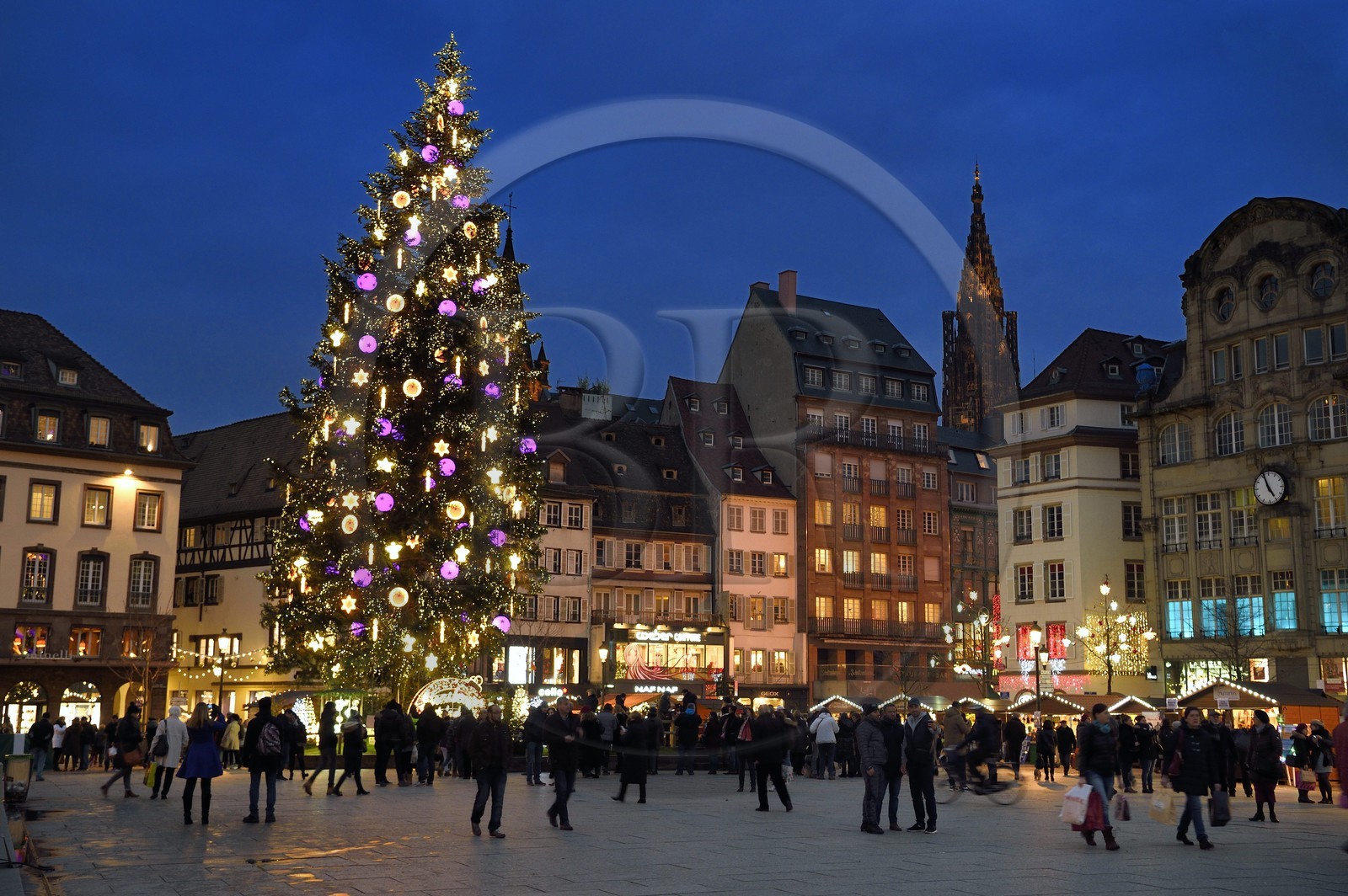 France, Bas-Rhin (67), Strasbourg, vieille ville classée au Patrimoine Mondial de l'UNESCO, le Grand Sapin de Noel de la place Kléber et la cathédrale Notre-Dame en arrière plan