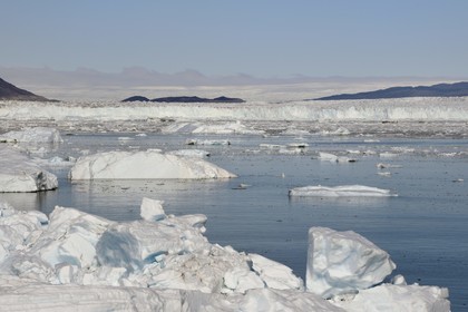 Groenland, cote ouest, baie de Disko, baie de Quervain, le glacier Eqip Sermia (glacier Eqi) et la calotte glaciaire en arrière plan