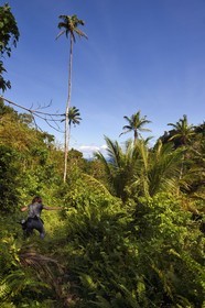 Caraïbes, Ile de la Dominique, randonneur sur le segment 13 du Waitukubuli National Trail dans le nord de l'île entre Pennville et Capuchin