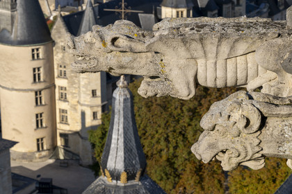 France, Nièvre, Nevers, Saint Cyr et Sainte Julitte cathedral, 16th century gargoyles at the top of the Cathedral Bohier tower