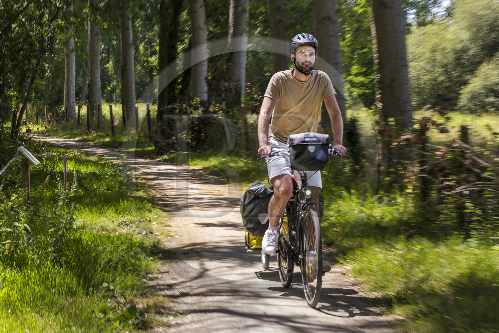 France, Deux-Sèvres (79), le Marais Poitevin, la Venise Verte, Sansais, bicycle journey on the Vélo Francette cycle path, bike with a trailer carrying camping equipment
