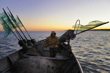 France, Seine-Maritime, off the coast of Veules-les-Roses at dawn, net fishing on the boat La Pomme owned by Anthony Paumier the youngest skipper in France