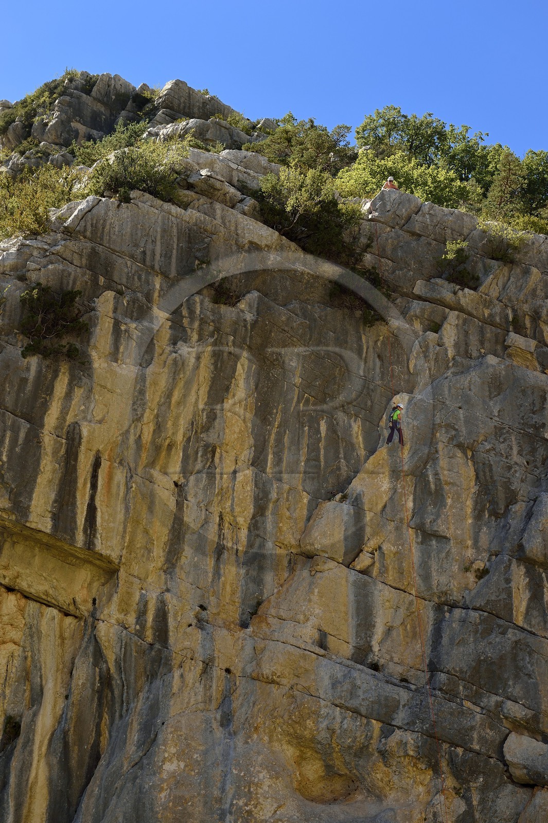 France, Alpes-de-Haute-Provence (04), Parc Naturel Régional du Verdon, les Gorges du Verdon en contrebas du village de Rougon et du Point Sublime, escalade sur une des parois rocheuses