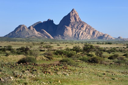 Namibia, Erongo region, Damaraland, the Little Spitzkoppe or Spitzkop (1784 m), granite mountain in the Namib Desert