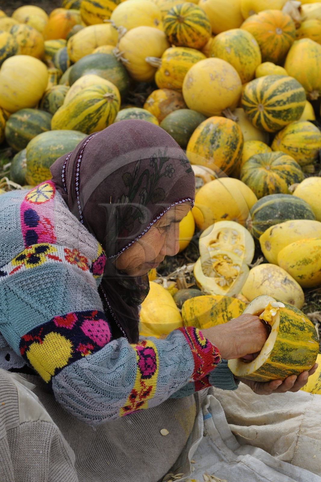 Turquie, Anatolie Centrale, province de Nevsehir, Cappadoce classée Patrimoine Mondial de l'UNESCO, village troglodytique d' Ortahisar, récupération des graines de pastèques