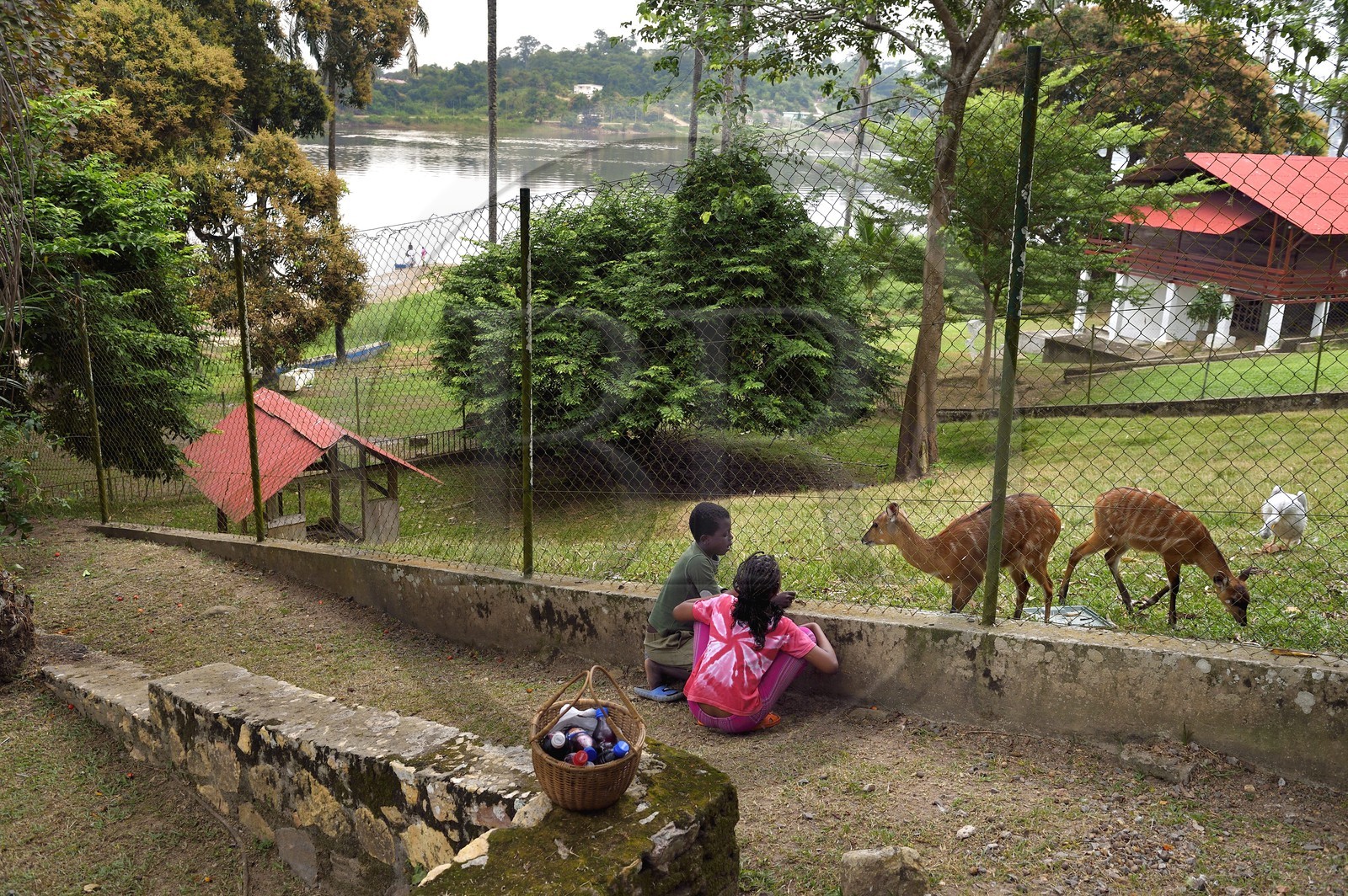Gabon, Province du Moyen-Ogooué, Lambaréné, jardin de l'ancien Hopital Albert Schweitzer et la rivière Ogooué