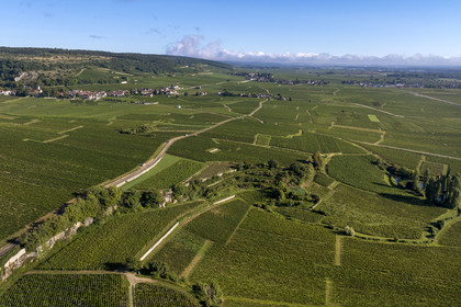 France, Cote d'Or, cultural Landscape of the climates of Burgundy listed as World Heritage by UNESCO, Route des Grands Crus (road of Vintage Wines), vineyard of the Côte de Nuits at Vougeot, the village of Chambolle Musigny on the left and Morey Saint Denis on the right in the background
