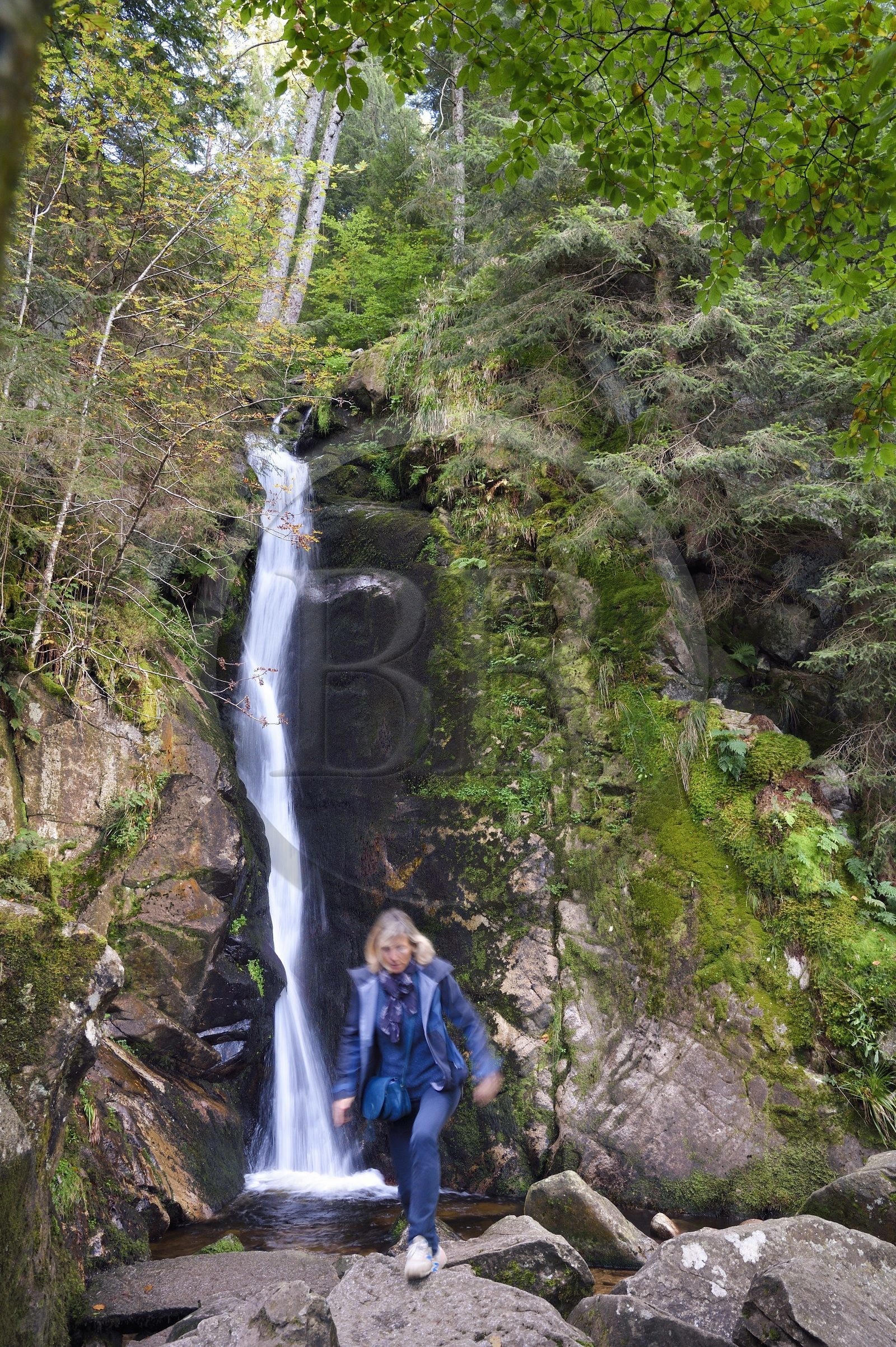 France, Vosges, Le Valtin, hike in the Valtin valley in the upper Meurthe valley, Rudlin waterfall