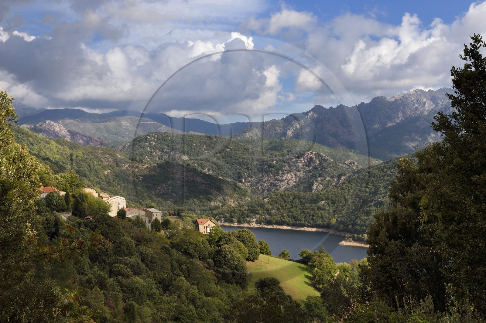 France, Corse-du-Sud (2A), Vallée du Prunelli, village de Tolla au bord du lac artificiel de Tolla