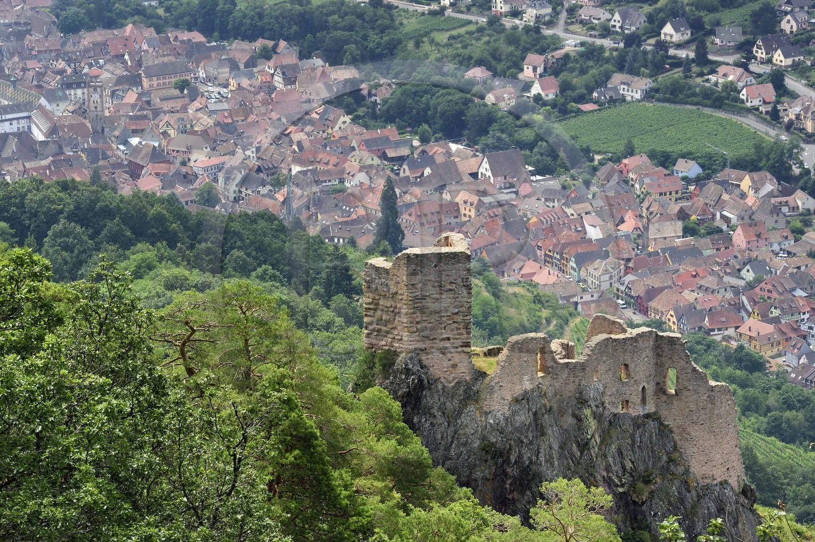 France, Haut-Rhin (68), Route des vins d'Alsace, Ribeauvillé, chateau de Girsberg et Ribeauvillé en arrière plan