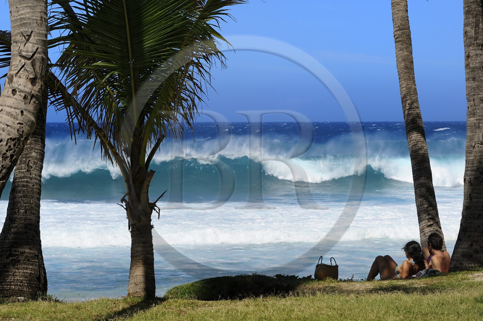 France, île de la Réunion, la côte sud, plage de Grand-Anse