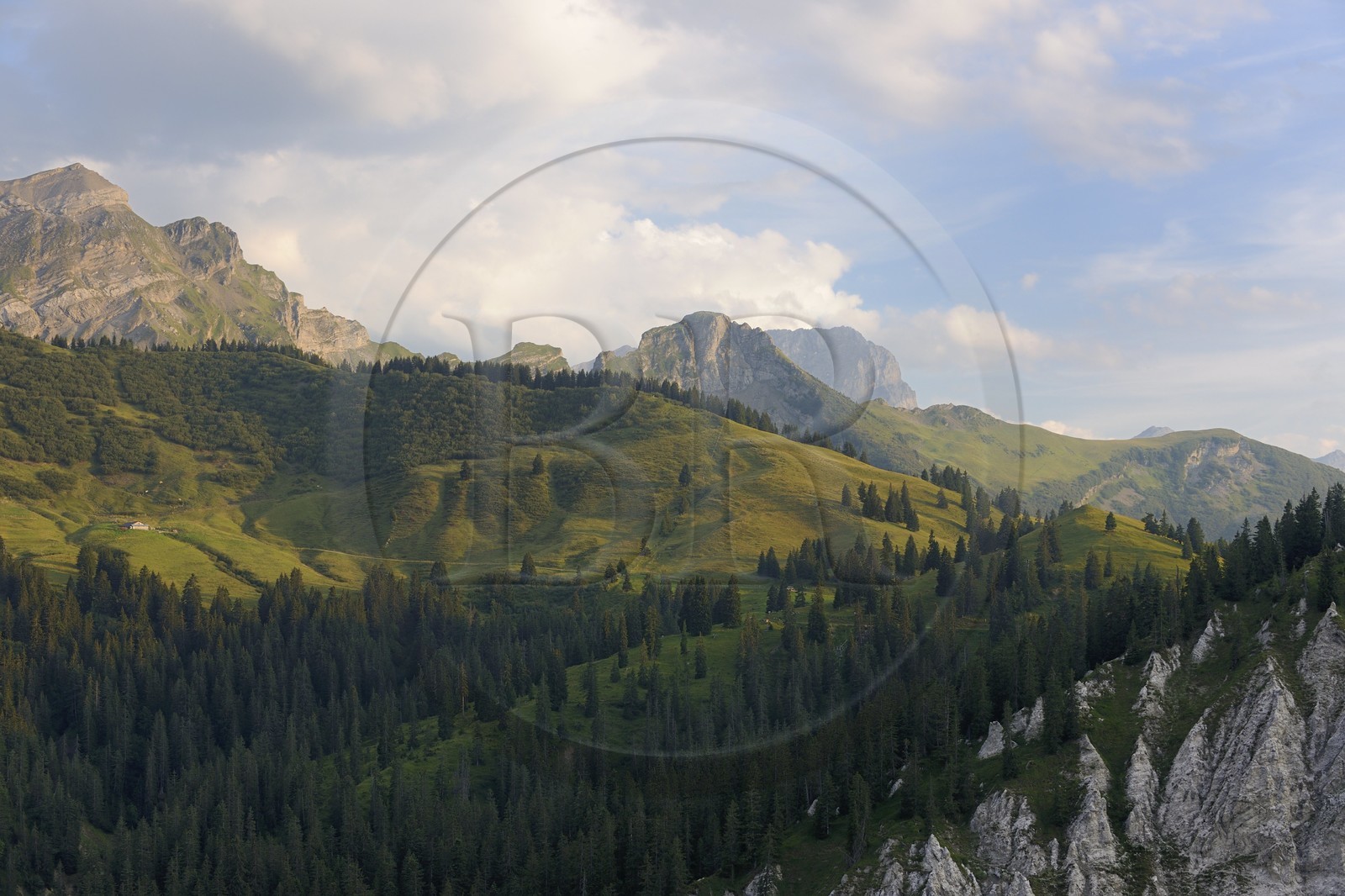 Suisse, canton de Vaud, Les Diablerets au Col de la Croix