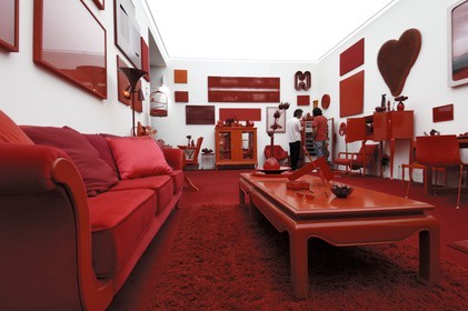 Brasil, Minas Gerais state, Brumadinho, Centro de arte contemporanea Inhotim (contemporary artwork center), Galeria Cildo Meireles, Desvio para o vermelho, Impregnação, Entorno, Desvio (1967-84) by Cildo Meireles