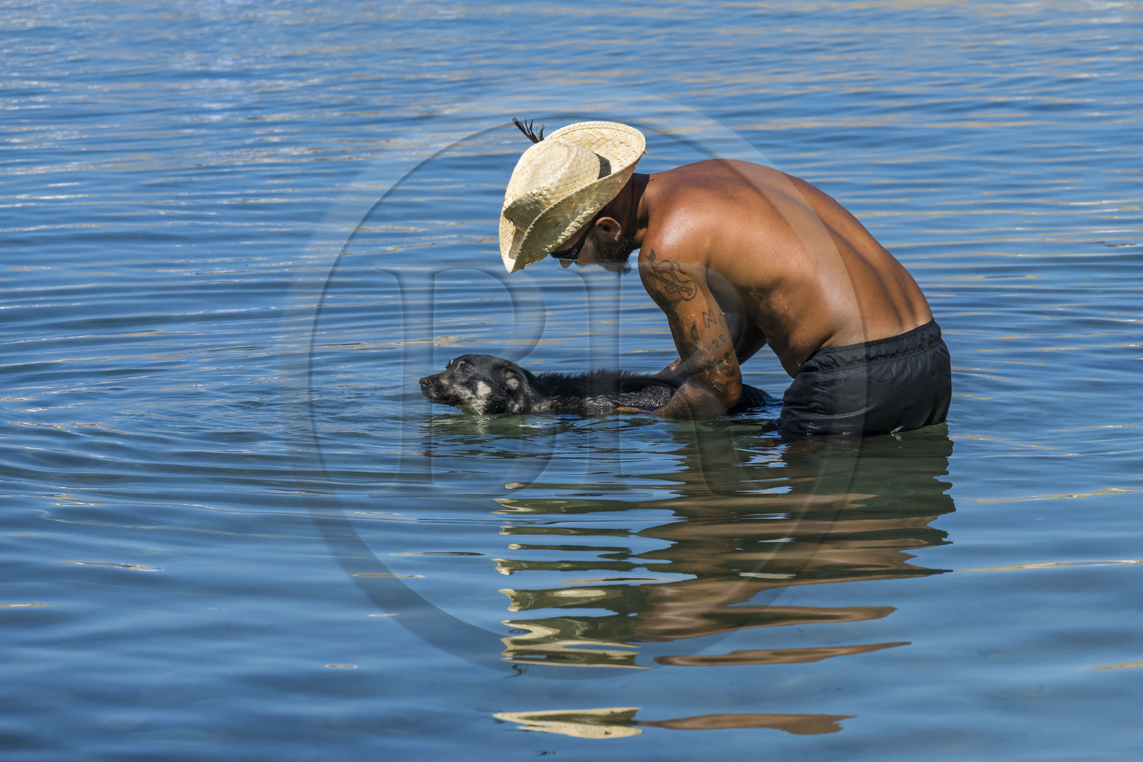 France, Alpes-Maritimes, Cannes, Lerins Islands, Saint-Honorat island, a master bathes his dog in the sea France, Alpes-Maritimes, Cannes, Lerins Islands, Saint-Honorat island, a master bathes his dog in the sea
