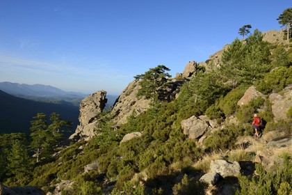 France, Corse du Sud, Alta Rocca, Aiguilles de Bavella (Bavella Needles), hikers on the alpine variante of the GR 20 (Grande Randonnée itinerary)