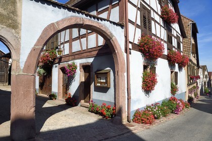 France, Haut Rhin, the Alsace Wine Route, Hunawihr, labelized the Most Beautiful Villages of France, winemaker's house in the main street