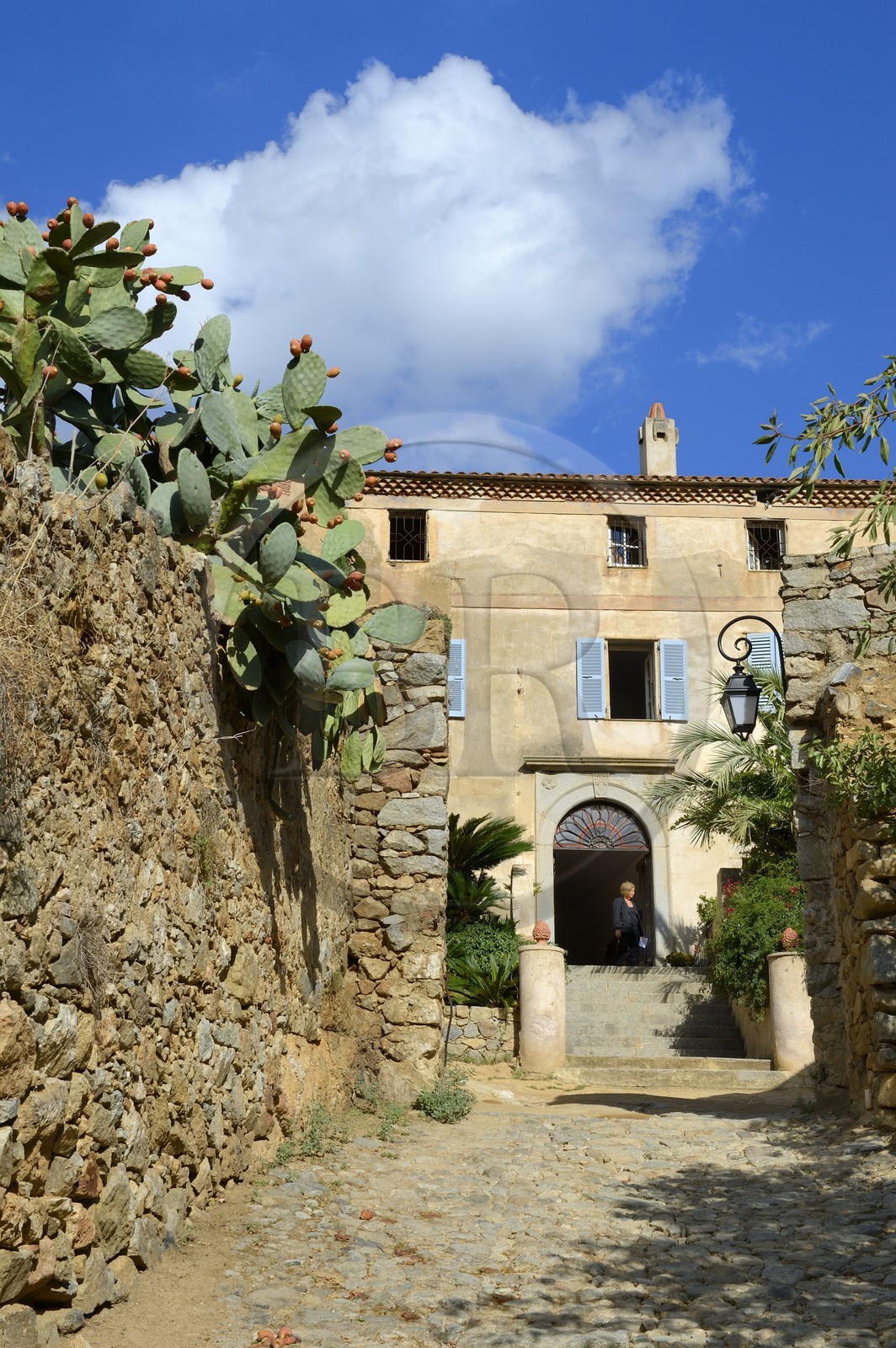 France, Haute-Corse (2B), Balagne, village perché de Pigna