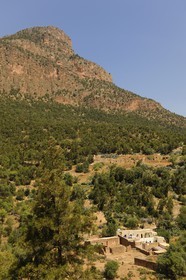 Maroc, région de l'Oriental, les montagnes rifaines de Béni-Snassen (ou encore Ayt Iznassen) au Nord-Est du pays