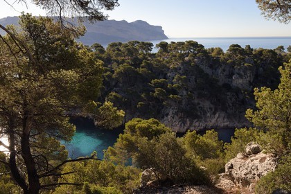 France, Bouches-du-Rhône (13), Cassis, Parc national des Calanques, Calanque de Port-Miou et les falaises du Cap Canaille en arrière plan (demande d'autorisation nécessaire avant publication)