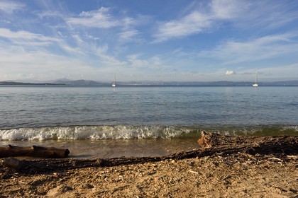 France, Var (83), Iles d'Hyères, parc national de Port Cros, Ile de Porquerolles, plage de la Courtade