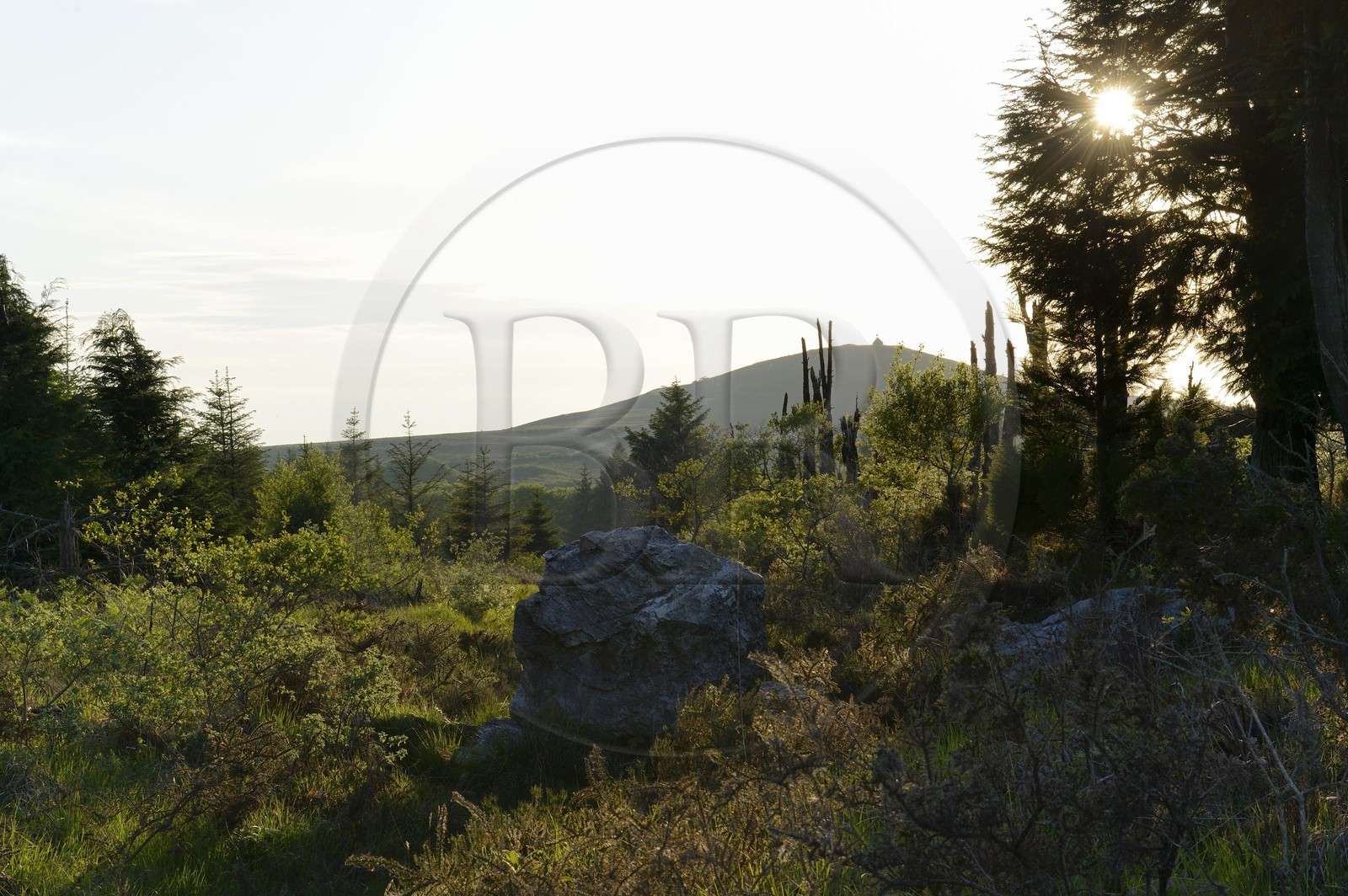 France, Finistère (29), parc naturel régional d'Armorique, Monts d'Arrée, Brasparts, rocher des exorcismes druidiques du marais du Yeun-Elez menant au Youdig (une des portes de l'enfer) et la chapelle Saint Michel au sommet du Menez Mikaël en arrière plan