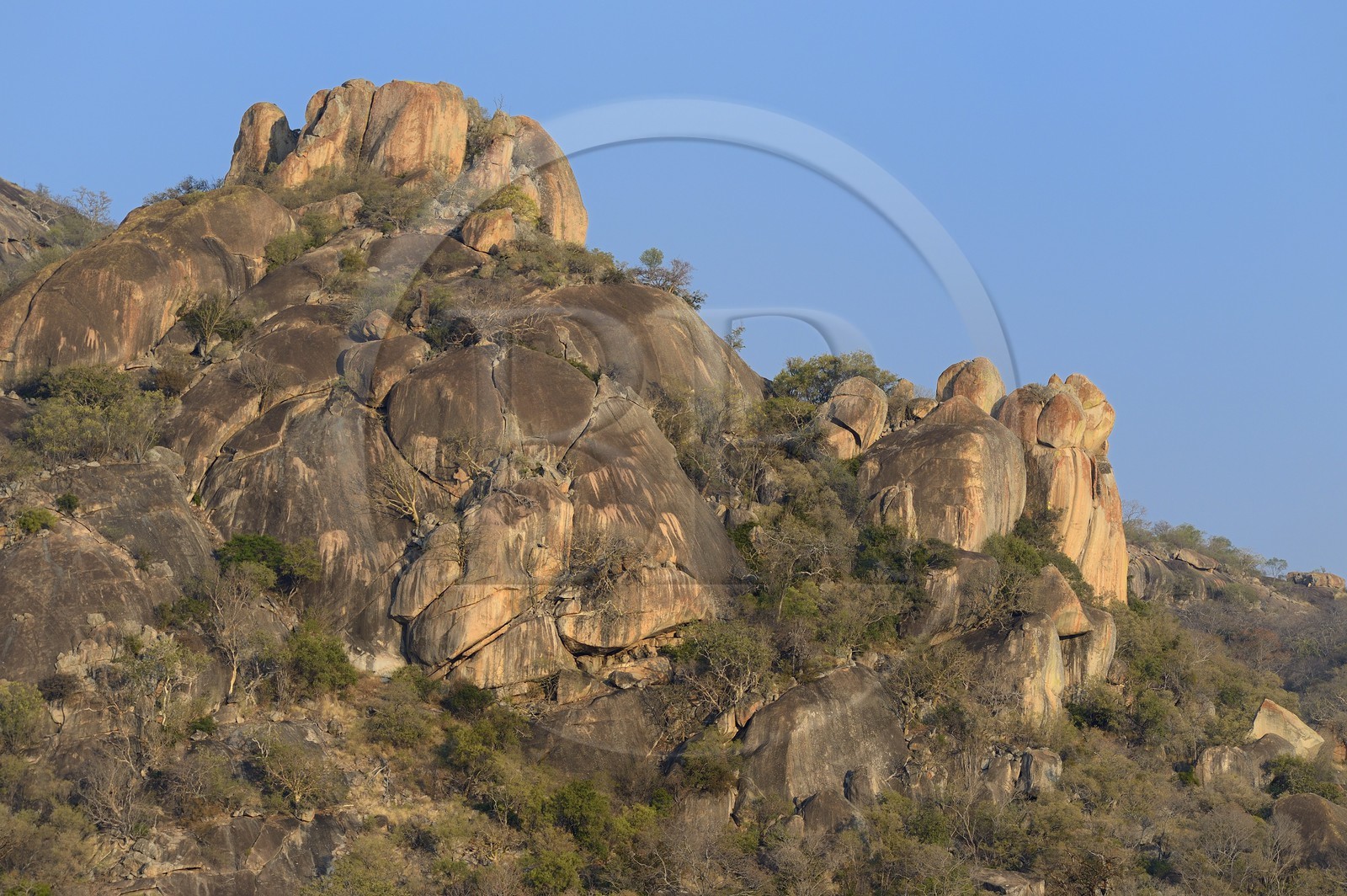 Zimbabwe, province de Matabeleland méridional, Matobo ou Matopos Hills National Park, classé Patrimoine Mondial de l'UNESCO, les collines rocheuses Zimbabwe, province de Matabeleland méridional, Matobo ou Matopos Hills National Park, classé Patrimoine Mondial de l'UNESCO, les collines rocheuses