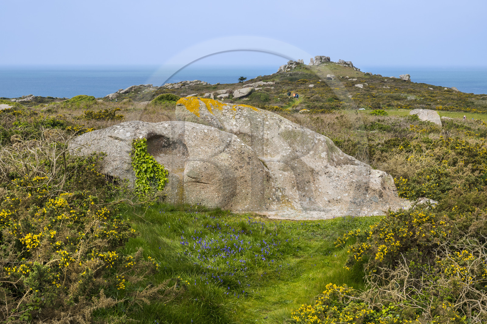 France, Côtes-d'Armor (22), Côte de Granit Rose, Trébeurden, Ile Millau