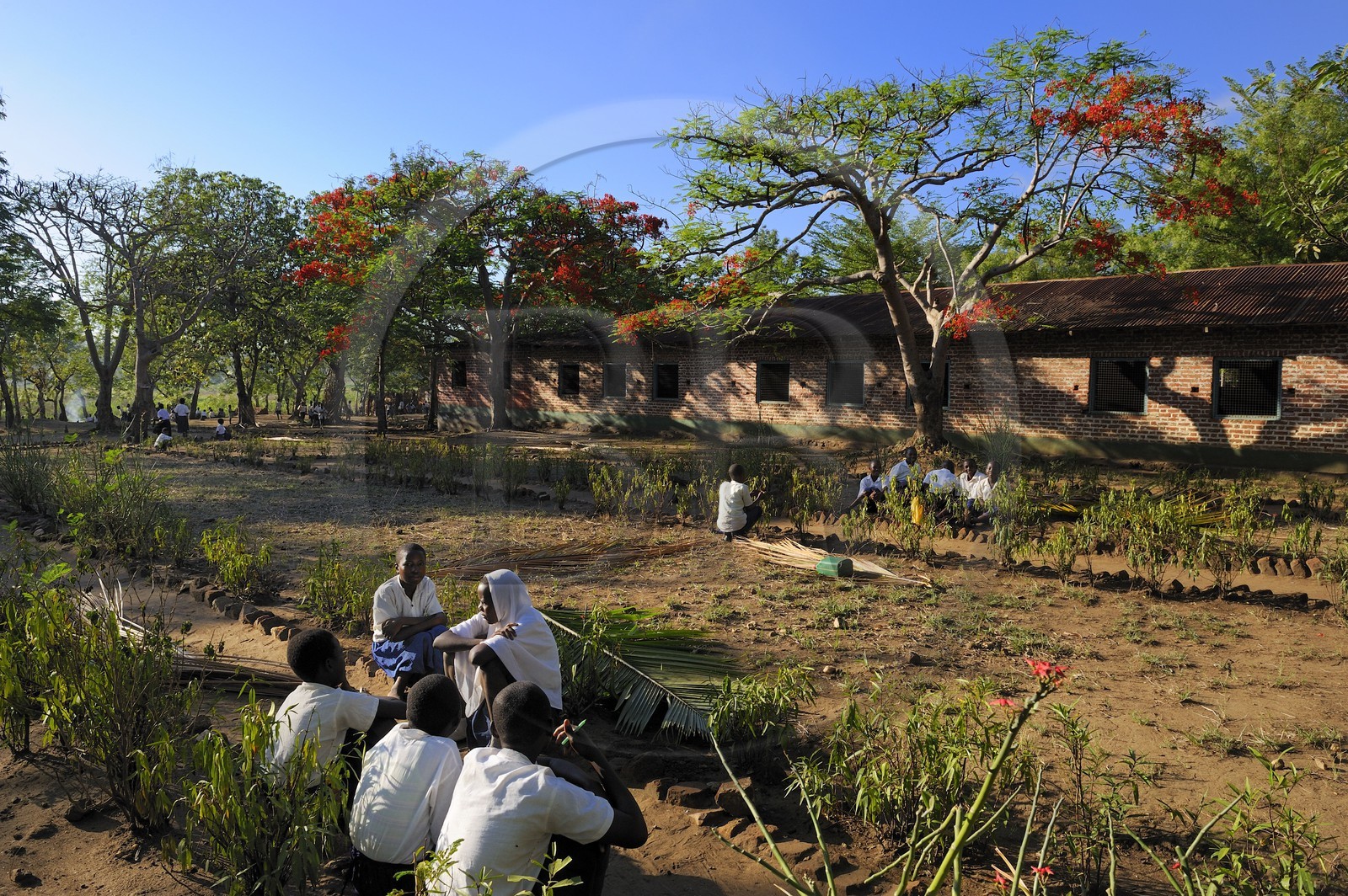 Tanzanie, région de Morogoro, les Monts Uluguru, école primaire du village de Kiroka