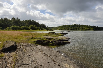 France, Morbihan, forest of Broceliande, Concoret, the castle of Comper which houses exhibits of the Center of the Arthurian fantasy