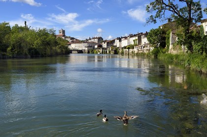 France, Charente-Maritime (17), Saintonge, Saint-Savinien, labellisé Villages de pierres et d'eau, maisons au bord de la Charente