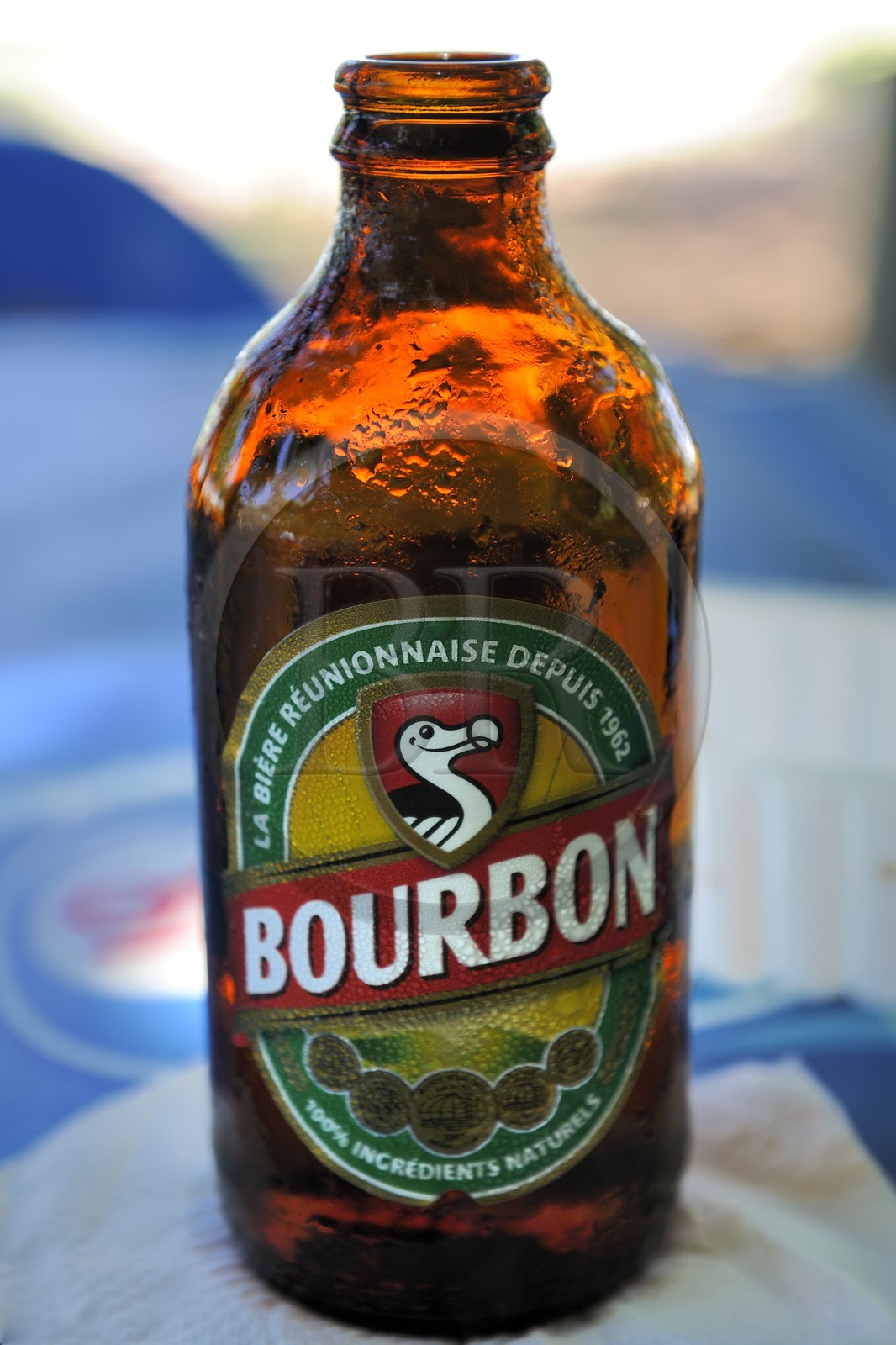 France, Ile de la Reunion, bouteille de bière locale Bourbon dite Dodo