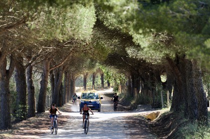 France, Var, Iles d'Hyeres, Parc National de Port Cros (National park of Port Cros), Porquerolles island, postwoman Christine Frissong tour in her electric car on the island tracks