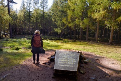 France, Bas-Rhin (67), Ottrott, Mont Sainte-Odile, plaque commémorative sur le site du crash de l'Airbus A320 le 20 janvier 1992 faisant 87 morts sur les hauteurs de La Bloss