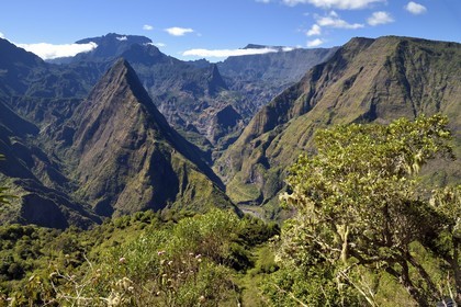France, Ile de la Reunion, Parc National de la Réunion classé Patrimoine Mondial de l'UNESCO, La Possession, vers le village de Dos d'Ane, randonnée de la Roche Bouteille par le sentier Cap Noir, Piton Cabris à gauche dans le Cirque de Mafate