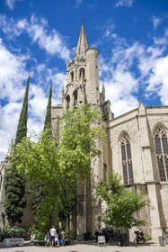 France, Vaucluse (84), Avignon, basilique Saint Pierre (XVe et XVIe siècle)