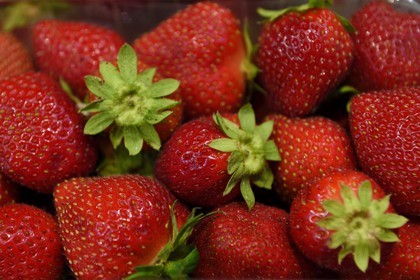 France, Dordogne, Perigord Noir, Dordogne valley, Sarlat la Caneda, strawberries from Périgord