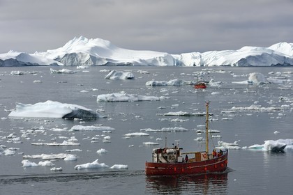Groenland, cote ouest, baie de Disko, Ilulissat, fjord glacé classé Patrimoine Mondial de l'UNESCO qui est l’embouchure maritime du glacier Sermeq Kujalleq, ancien bateau de pêche reconverti pour la découverte des icebergs et l'observation des baleines