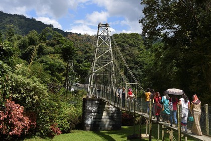 Sri Lanka, center province, Kandy, Peradeniya Botanical Garden, the suspension bridge over the Mahaweli River