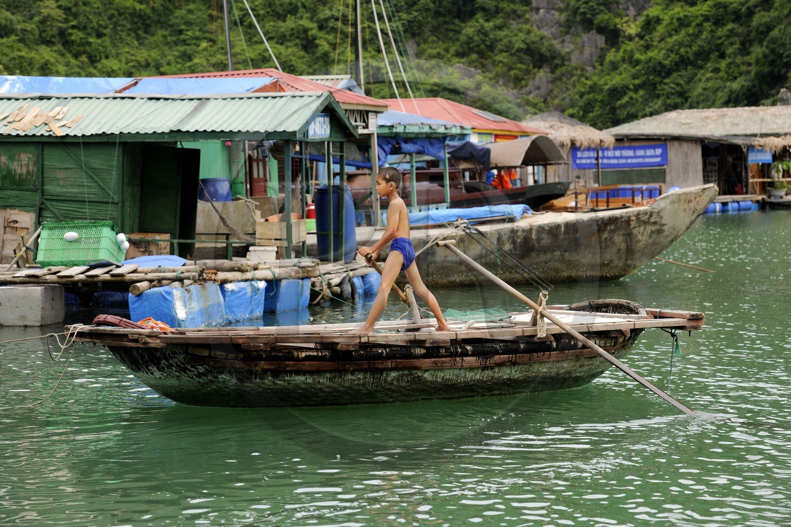 Vietnam, province de Quang Ninh, la Baie d'Halong classée Patrimoine Mondial de l'UNESCO, village flottant de pêcheurs de Vong Vieng