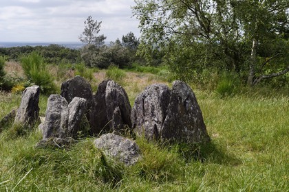France, Morbihan, forest of Broceliande, the hotie of Viviane also called the Tomb of the Druids, megalithic monument around 2500 BC
