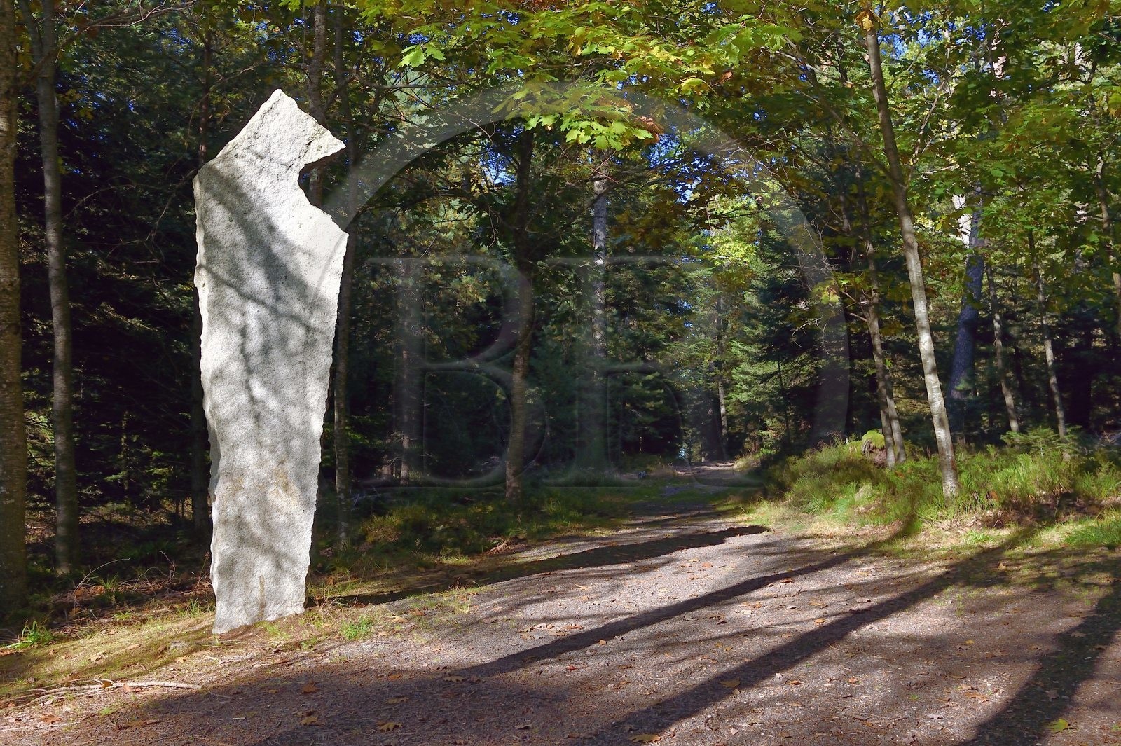 France, Bas-Rhin (67), Ottrott, Mont Sainte-Odile, site du crash de l'Airbus A320 le 20 janvier 1992 faisant 87 morts sur les hauteurs de La Bloss