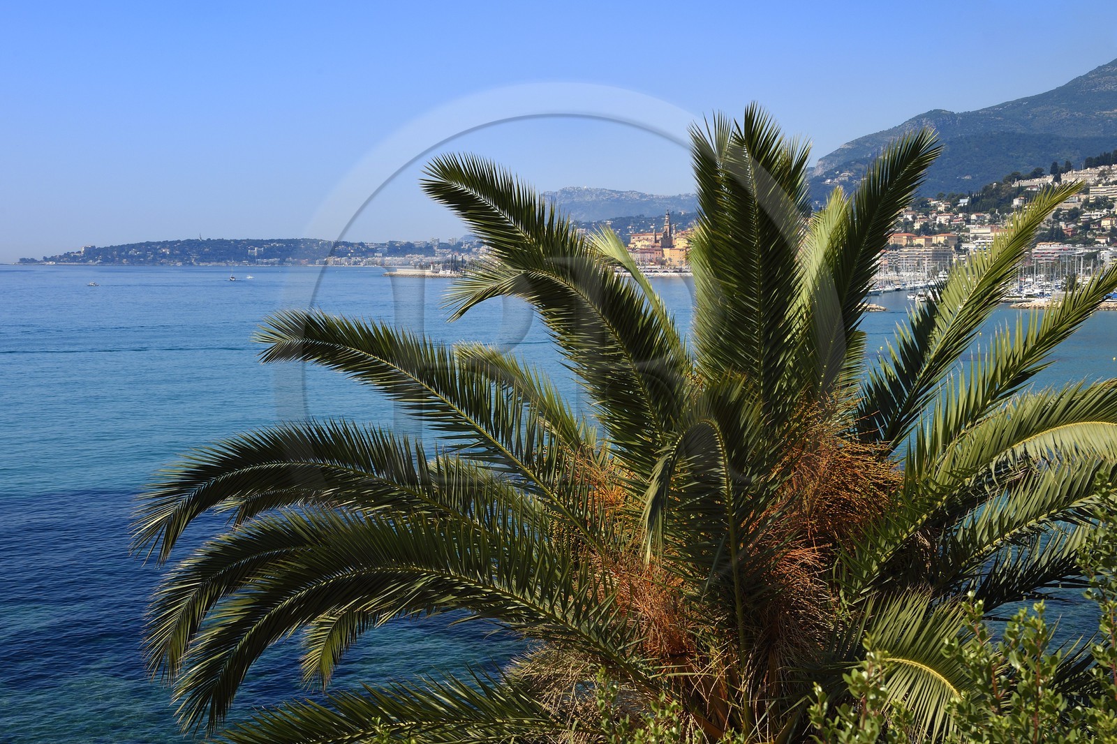 France, Alpes-Maritimes, Menton seen from Maria Serena garden in the district of Garavan
