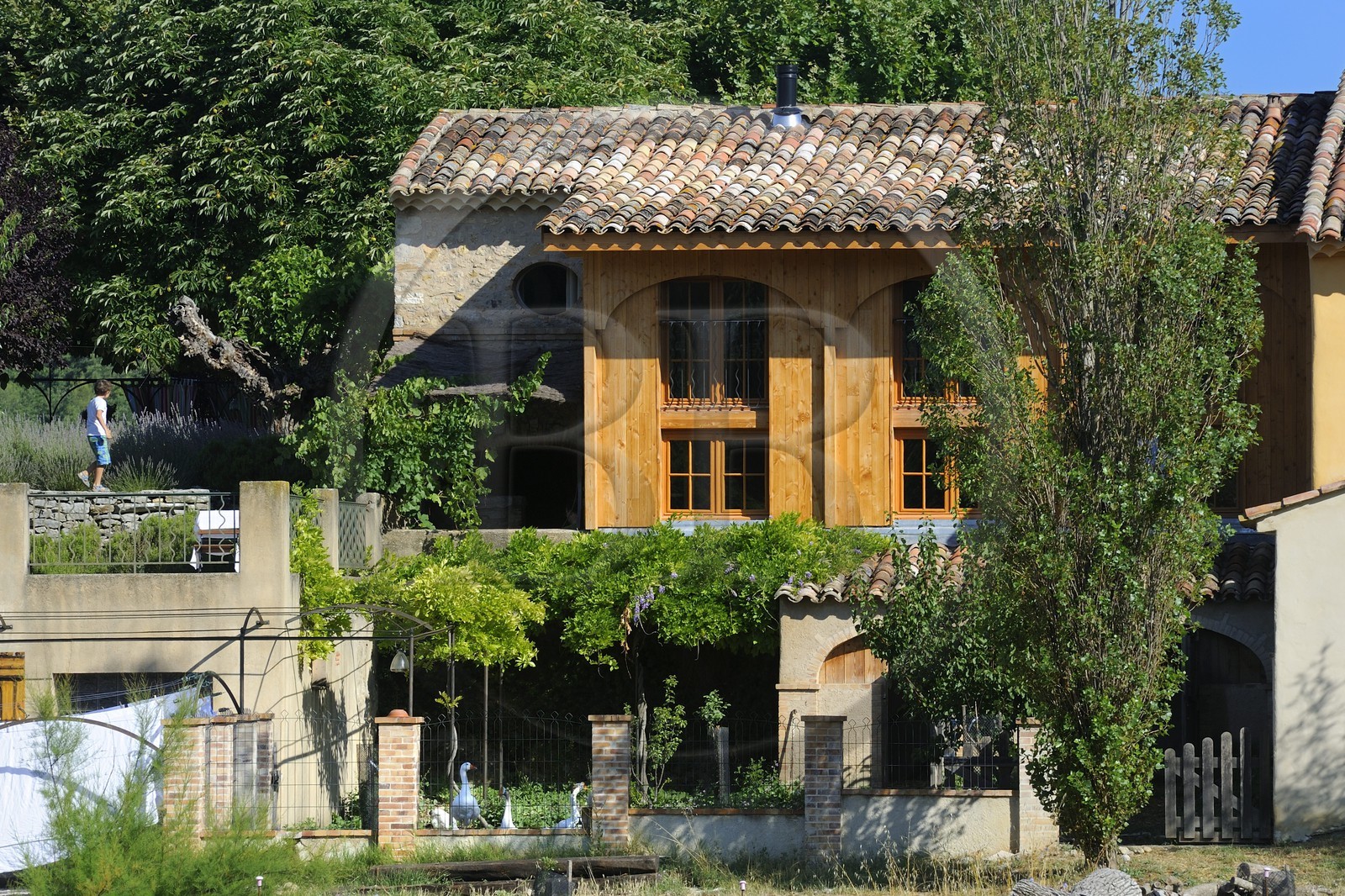 France, Var, Provence Verte (Green Provence), Bras village next to Saint Maximin, Le Peyrourier Bed & Breakfast, une campagne en Provence