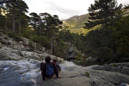 France, Haute-Corse (2B), Vivario, GR 20, étape entre le refuge de l'Onda et Vizzavona, foret de Vizzavona, les cascades des anglais, groupe de cascades dans la vallée de l'Agnone