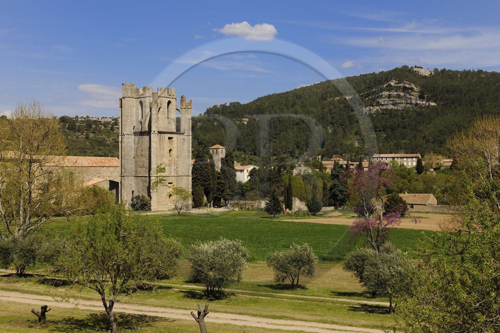 France, Aude (11), village de Lagrasse, labellisé Les Plus Beaux Villages de France, abbaye Sainte-Marie de Lagrasse