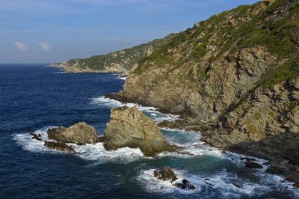 France, Var (83), Iles d'Hyères, parc national de Port Cros, Ile de Porquerolles, la côte Sud-Ouest vers la Gorge du Loup et le Fort du Grand Langoustier en arrière plan