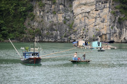Vietnam, Quang Ninh Province, Halong Bay, listed as World Heritage by UNESCO, fishing floating village of Vong Vieng