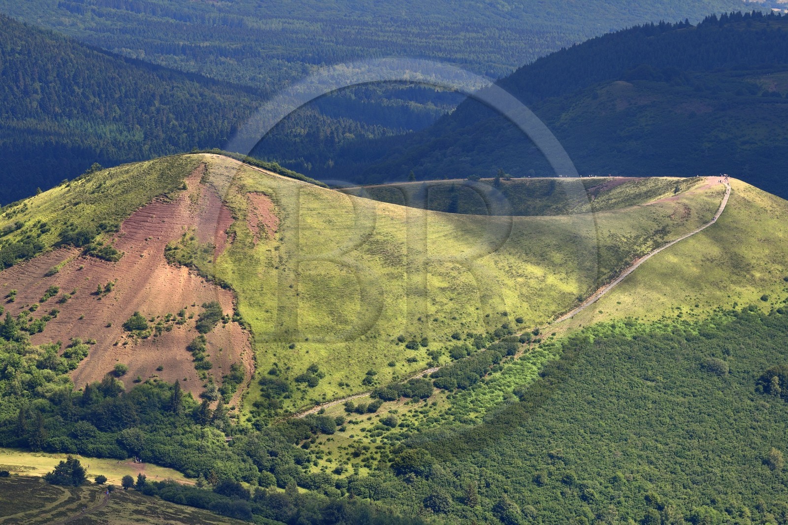 France, Puy-de-Dôme (63), Parc Naturel Régional des Volcans d'Auvergne, Chaine des Puys classée Patrimoine Mondial de l’UNESCO, le sentier et les marches menant au cratère du Puy Pariou