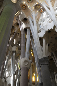 Espagne, Catalogne, Barcelone, quartier de l'Eixample, basilique de la Sagrada Familia de l'architecte du modernisme catalan Antoni Gaudi classée Patrimoine Mondial de l'UNESCO, colonnes de la nef centrale